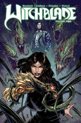 Cover of Witchblade Volume 2