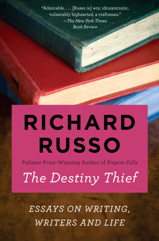 Cover of The Destiny Thief