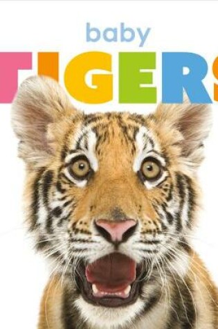 Cover of Baby Tigers