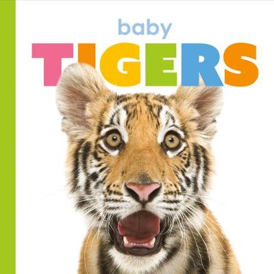 Book cover for Baby Tigers