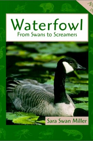 Cover of Waterfowls