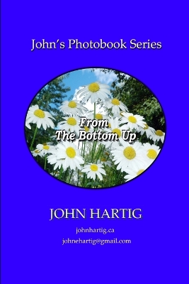 Book cover for From the Bottom Up