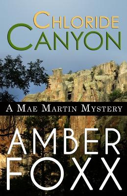 Book cover for Chloride Canyon