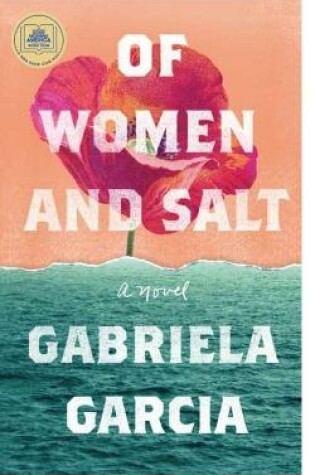 Cover of Salt and Women