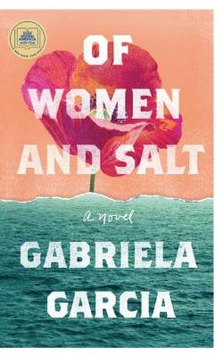 Book cover for Salt and Women