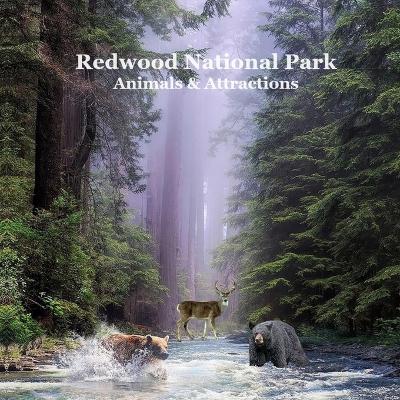 Book cover for Redwood National Park Animals and Attractions Kids Book