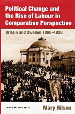 Book cover for Political Change & the Rise of Labour in Comparative Perspective