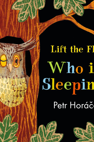 Cover of Who Is Sleeping?
