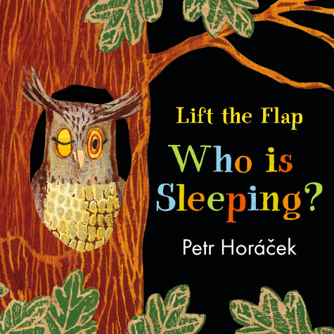 Book cover for Who Is Sleeping?