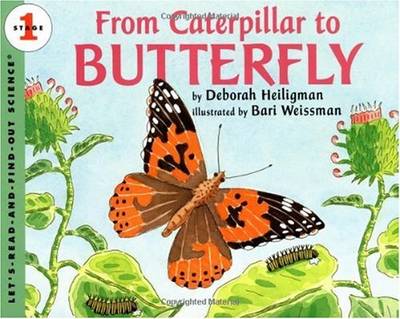 Book cover for From Caterpillar to Butterfly