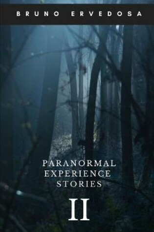 Cover of Paranormal Experience Stories 2