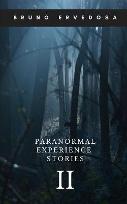 Book cover for Paranormal Experience Stories 2