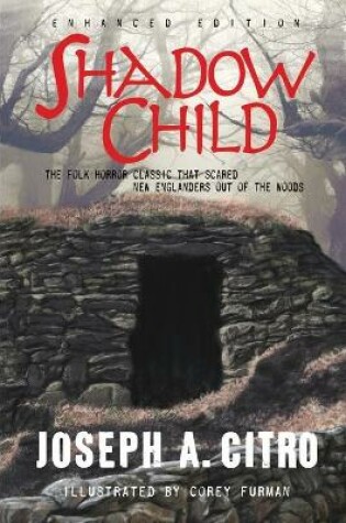 Cover of Shadow Child