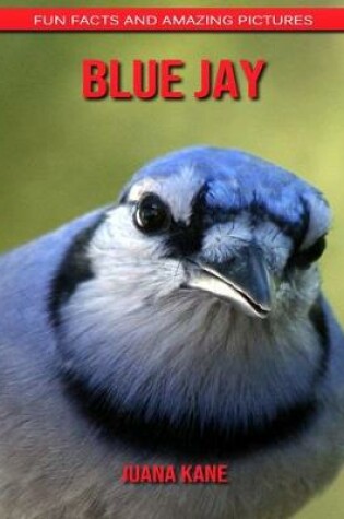 Cover of Blue Jay