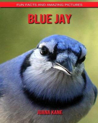 Book cover for Blue Jay