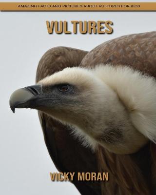 Book cover for Vultures