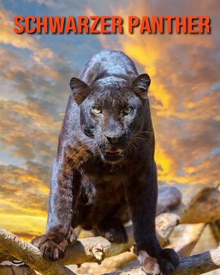 Book cover for Schwarzer Panther