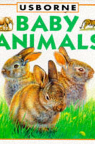 Cover of Baby Animals