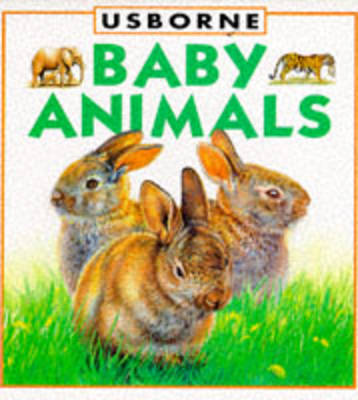 Book cover for Baby Animals