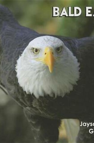 Cover of Bald Eagles