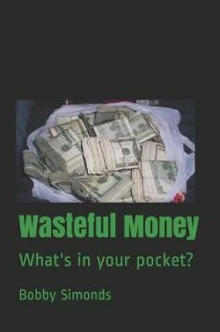 Cover of Wasteful Money