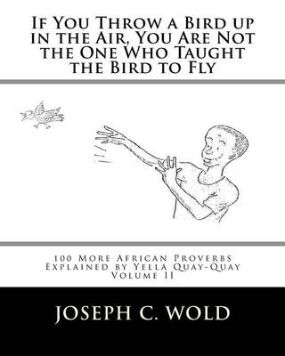 Book cover for If You Throw a Bird Up in the Air, You Are Not the One Who Taught the Bird to Fly