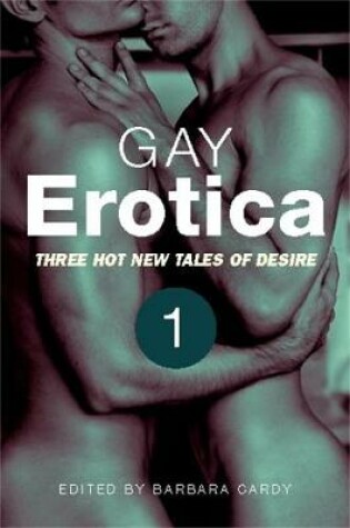 Cover of Gay Erotica, Volume 1