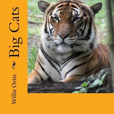 Book cover for Big Cats