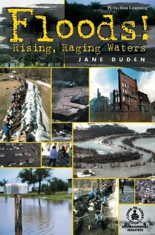 Cover of Floods! Rising, Raging Waters