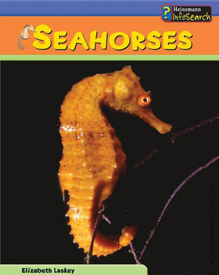 Book cover for Sea Creatures: Sea Horses HB