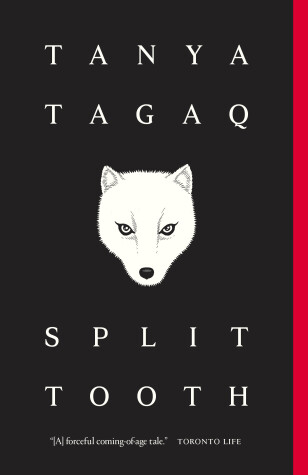 Book cover for Split Tooth
