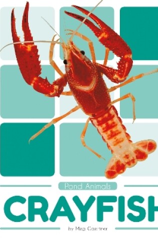Cover of Pond Animals: Crayfish
