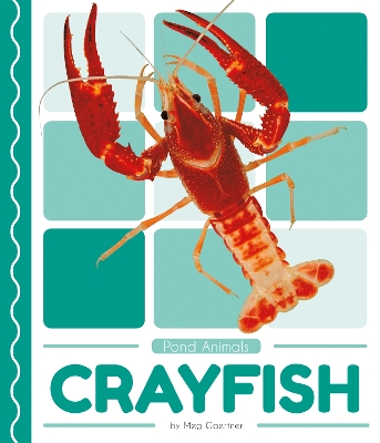 Book cover for Crayfish