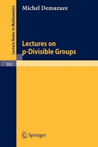 Cover of Lectures on p-Divisible Groups