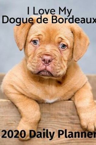 Cover of I Love My Dogue de Bordeaux