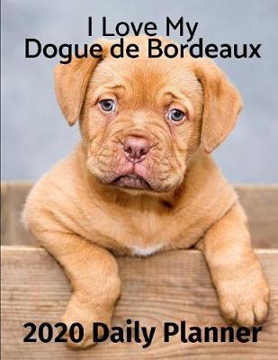 Book cover for I Love My Dogue de Bordeaux