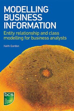 Cover of Modelling Business Information