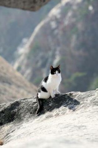 Cover of Black and White Cat Mountain Climber Adventure Journal