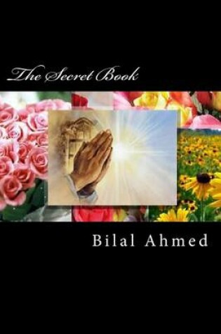 Cover of The Secret Book