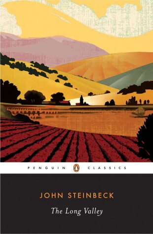 Book cover for The Long Valley