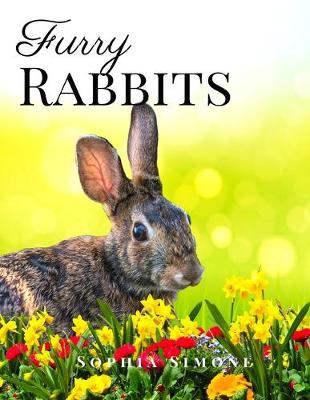 Book cover for Furry Rabbits