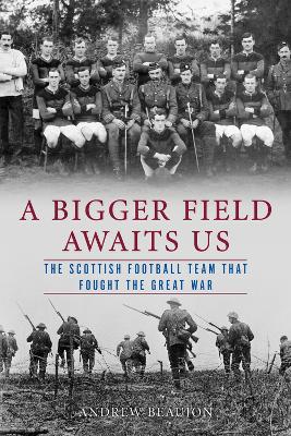 Book cover for A Bigger Field Awaits Us