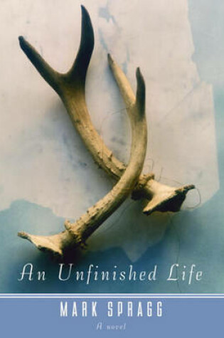 Cover of An Unfinished Life