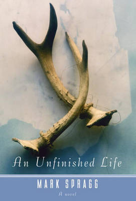 Book cover for An Unfinished Life