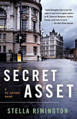 Book cover for Secret Asset