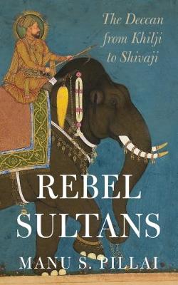 Book cover for Rebels sultans