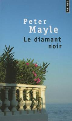 Book cover for Diamant Noir(le)