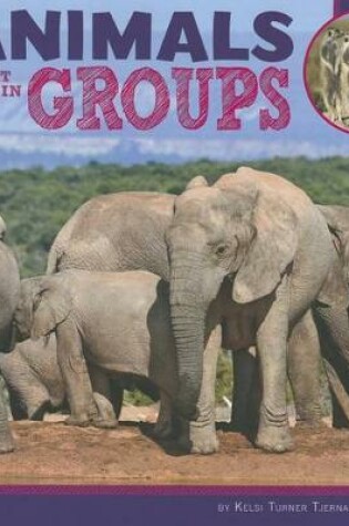 Cover of Animals That Live in Groups