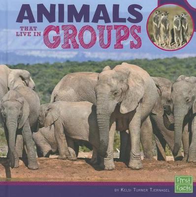 Cover of Animals That Live in Groups