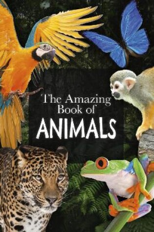 Cover of The Amazing Book of Animals
